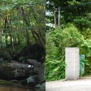 보광1리 이미지