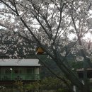 레젤프펜션 이미지