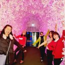 여행을 이야기하다 | 제주도 승합차 렌트 후기, 제주 콜밴으로 다녀온 편안한 여행