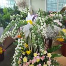 대동화원 이미지