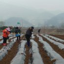 김봉수 농장 이미지