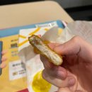 롯데리아, 춘천닭갈비칡냉면, 맘스터치, 파파스...설빙, 삼대째순두부, 보영만두, 상록회관 연탄구이 후기