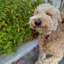 위클라드 커플 풀빌라 이미지