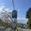 용연사 집단시설지구 이미지