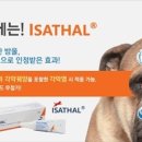 도청약국 이미지