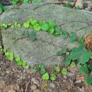 약수터주유소 이미지