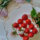 주남농장 이미지