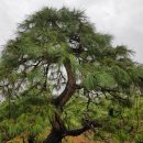 구암동387 이미지