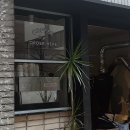 케이쿠에오 | [대구/삼덕동] 애견동반카페 에스프레소바 '카페 앙코르'