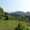 몽산142