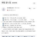 사고친거같은 코레일 설연휴 승차권 예매 안내메일ㅋㅋㅋ 이미지