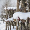 황태덕장 이미지