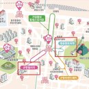 완암로-2 | 진해군항제 벚꽃 실시간 주차 꿀팁 먹거리 총정리