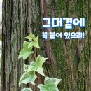 다향카센타 이미지