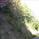 군장농원 이미지