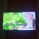 차차차 노래연습장 | [2025 한일교류 방일대학생단] #7 홈스테이 해단식 &amp; 구마모토 현청 특강 &amp; 구마모토성 시찰