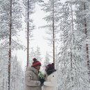 신호사우나 이미지