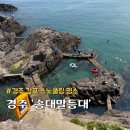 평화등대 | 경주 송대말등대 스노쿨링 명소 감포 물놀이 스팟