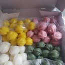 율랑동 떡담 돌 백일떡 후기