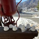 청주성인태권도 이미지