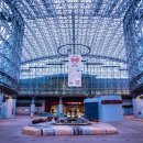 선지정food 이미지