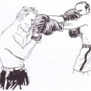 타이틀복싱킥복싱MMA우슈 이미지