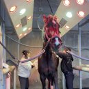 로이스원 이미지