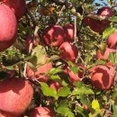 귀천농장 이미지