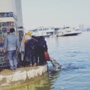 불나라2 이미지