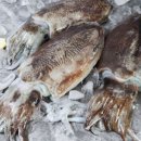 군산시수산업협동조합 이미지