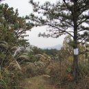 수륜면 백운리 삼거리 이미지