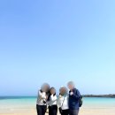 하우제주여행(주) | 우도 전기스쿠터 대여 하우목동항 하우마을레저 현장대여 후기
