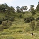 보은패션 이미지