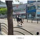 만인승마체험장 이미지