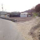 정만석 선생 묘 이미지