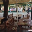 솔 피시 이미지