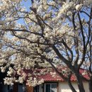 제주촌캉스 이미지