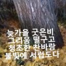 찬비 / 박인희 노래 이미지