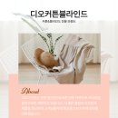 성거-10 | 천안 서북구 성거 블라인드 커튼으로 집 분위기 확 바꿔보세요