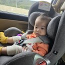 관광수산시장 관광안내소 | 10월 속초 실내 여행코스 &amp; 대가족 숙소 후기, 속초관광수산시장 주차장 꿀팁