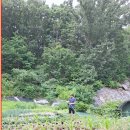 식송농장 이미지