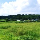 방죽안농장 이미지