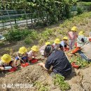 농소1동 주민자치 사회적협동조합 울산종합일보