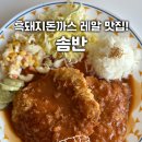 솜반 이미지