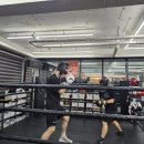 용인대SM복싱클럽 길동점 | 🔥[강동구 복싱] 네이버 플레이스가 증명하는 용인대SM복싱클럽 길동점 누구든 언제든 오셔서 개인지도...