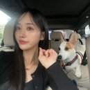 옥토비스튜디오
