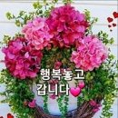 피부가 보내는 구조신호 이미지