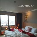 요안3호 | 대구여행기 - 대구 아리아나호텔