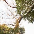 인성리-2 이미지