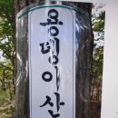 세종시 부강면 용대이산(98m)을 가보다 이미지